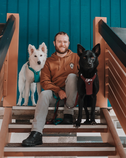 Dog staying at The Dorothy Motel in Banff
