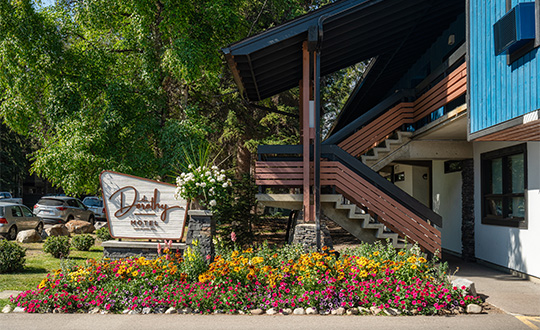 Exterior of The Dorothy Motel in Banff with mountain views and flowers